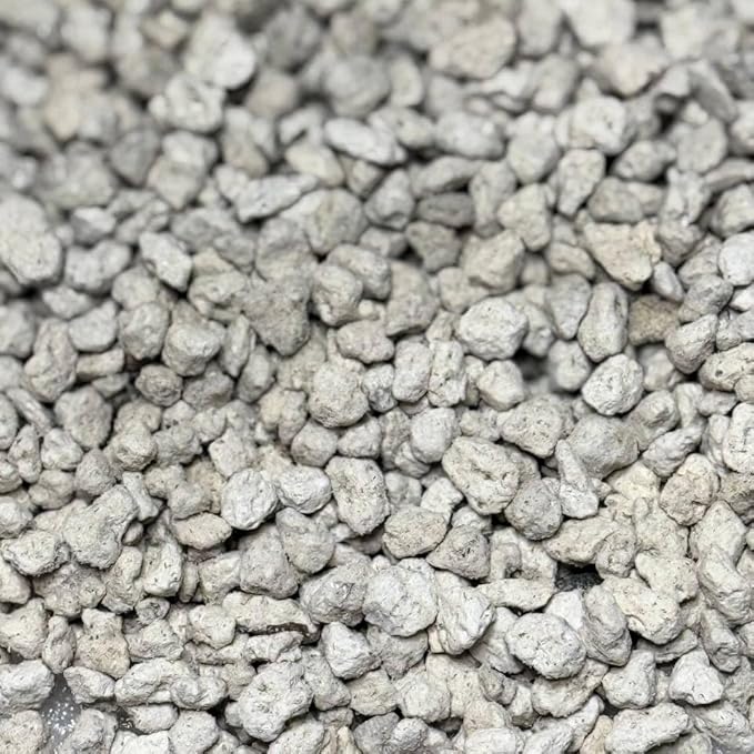 GARDENWISE Horticultural Pumice for Plants, Natural Pumice Stone Soil Amendment, 3/8-1/4 inch, Made in USA (3 quarts - 2.7 lbs)