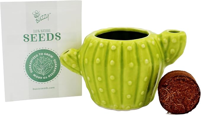 BUZZY Seeds 4pk Mini Cactus Grow Kit with Ceramic Planter, Succulent Seeds, Growing Medium, Easy Instructions, Indoor Gardening Gift for Beginners, Birthdays, Housewarming and Home or Office Decor