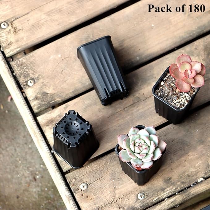 BangQiao 180 Pack 1.95 Inch Tiny Black Plastic Square Nursery and Seedling Pot, Mini Deep Transplant Seed Starter Planter with Drain Hole for Germination, Herb, Succulent