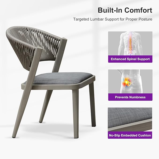 PURPLE LEAF 2 Pieces Outdoor Dining Chair All-Weather Wicker Aluminum Frame Patio Dining Chair for Lawn Garden Backyard Deck with Cushion, Gray