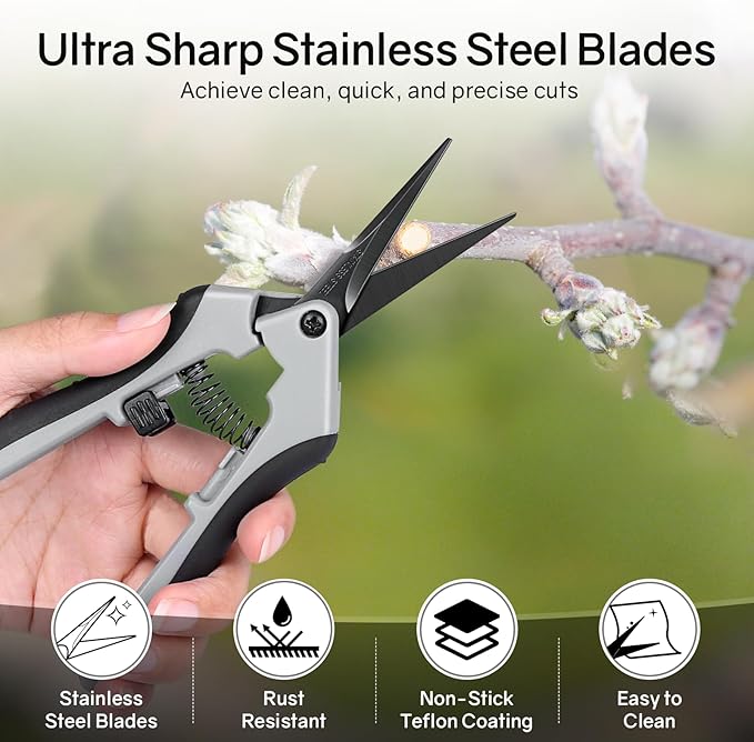 6.5" Ultra Sharp Pruning Shears - Professional Garden Scissors with Curved Stainless Steel Blades, Ergonomic Handle, Rust Resistant, Safety Lock, Trimming Scissors for Plants in Grow Tents, 2-Pack