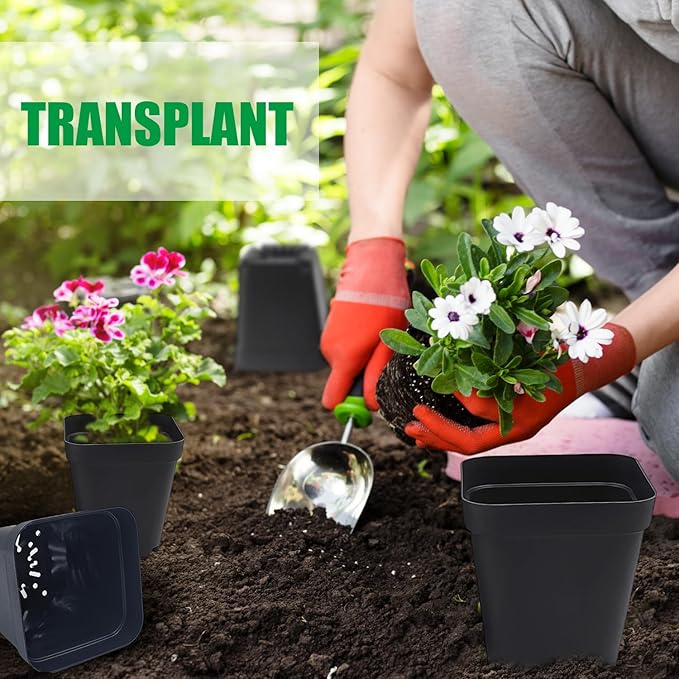 RooTrimmer Square Nursery Pots 3" 120Pcs Deep Succulent Plastic Pots Small Flower Planter Seeds Starter Germination Pots with Drainage (Black,2.7Inches,120Pcs)