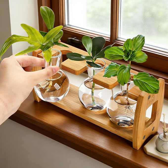 Pumtus 2 Pack Plant Propagation Stations, Desktop Plants Terrarium with Wooden Stand, Water Propagation Station, Hydroponic Plant Vase with 8 Glass Bulbs, Small Propagated Plants Jar for Home Office