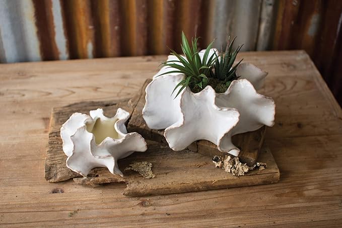 MY SWANKY HOME Wavy Shaped Set Two Organic White Ceramic Modern Succulent Planters