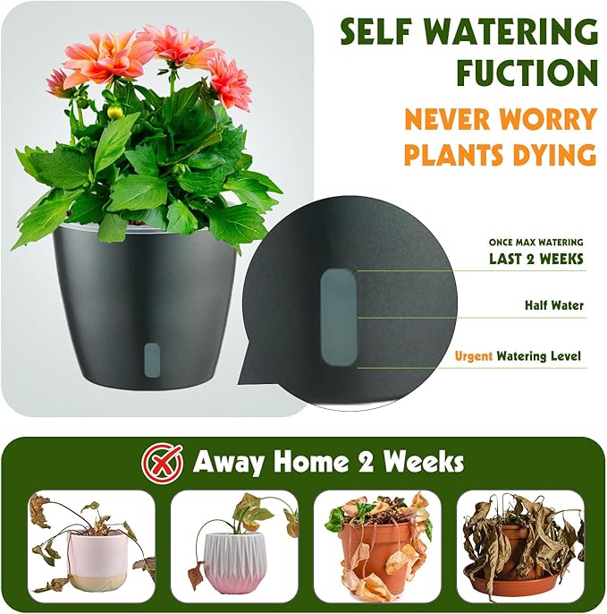 KvyusFlourish Self Watering Pots for Indoor Plants, 6-Pack 6.7'' Self Watering Planter with Drainage Holes, Small African Violet Pots with Water Indicator, Clear Wick Orchid Pot, Grey