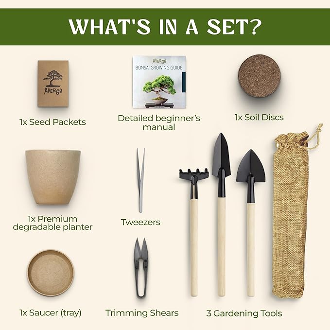 Bonsai Starter Kit – Growing Jacaranda Bonzai Tree | Complete Indoor Tree Kit for Growing Plants with Tools & Planter – Gardening Gifts for Mother, Women & Men