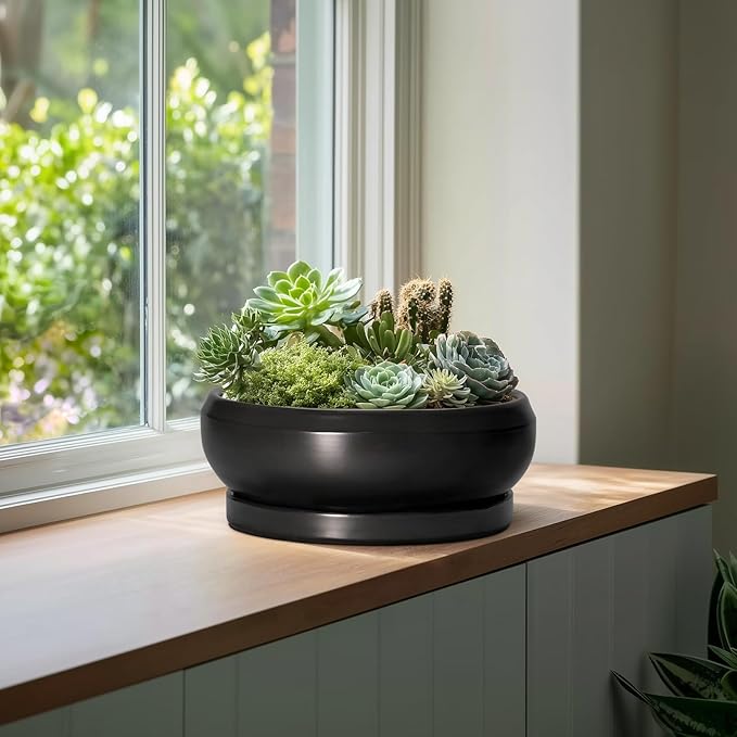 EPFamily Bonsai Pots 13 Inch - Large Ceramic Succulent Pots with Drainage Hole and Tray, Round Planter Bowl Indoor Outdoor, Modern Shallow Planters, Home Living Room Decor, Gardening Gifts, Black