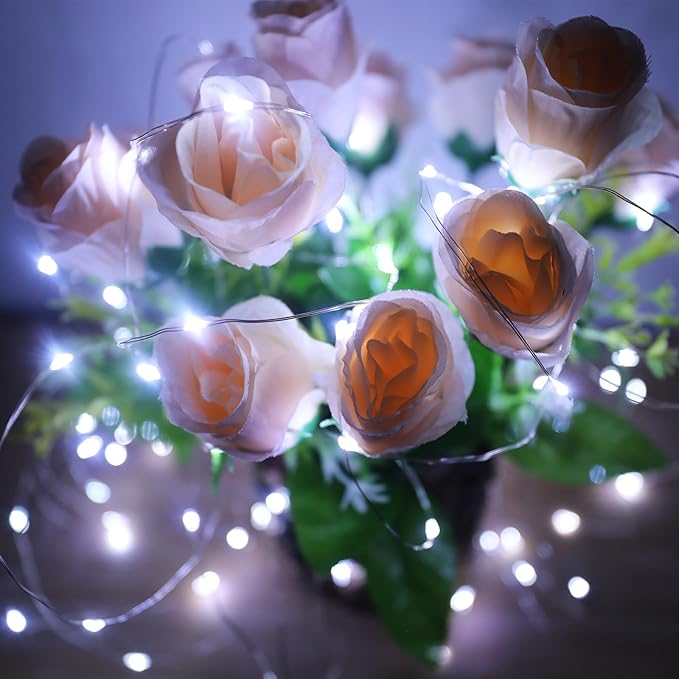 Outdoor String Lights, Warm White Fairy Lights Battery Operated with Remote, Led Twinkle Lights for Bedroom, Dorm, Backyard, Wedding, Tree (White, 33FT-100LED)
