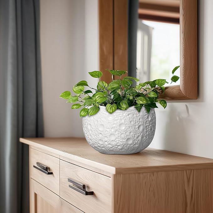 Thirtypot Ceramic Plant Pot - 8 Inch Round Planter with Drainage Hole, Decorative Plant Pots for Indoor Outdoor Plants, Modern Unique Flower Pots, House Living Room Decor, Housewarming Gifts, White