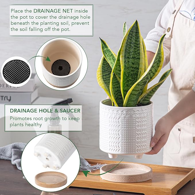 POITONRU Indoor-Outdoor Ceramic Plant Pots: 6 Inch Flower Pots with Drainage Hole & Saucer - Decorative Ceramic Pots for Plants Herbs Succulents - Home Garden Patio Lawn Use