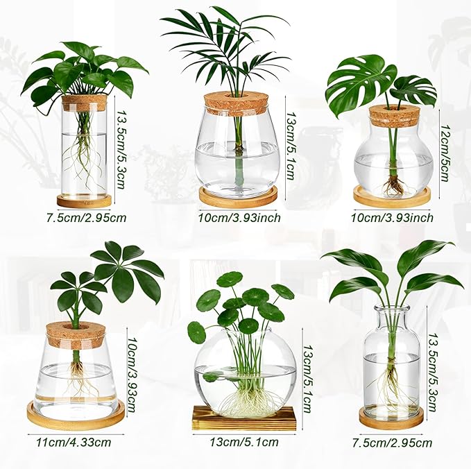 Anboliwb 6 Pcs Plants Propagation Stations Glass Planter Terrariums with Wooden Lid and Bamboo Stand Desktop Propagation Vases Jars for Plant Growing Hydroponic Home Office Tabletop Garden Decoration