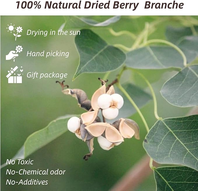 220g Tallow Berries Dried Christmas Decor- 17" Natural Stem Wedding Floral Decor, White Holly Tallow Berries, 2 Bundles Dried Flower Billy Balls, Button Plant, Willow Branches, Wreath DIY Handicraft