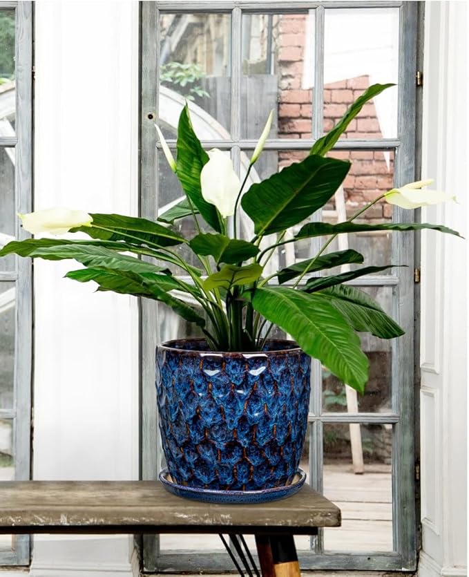 Hollyone Blue Ceramic Pot for Plants Flowers Ceramic Planter with Drainage Hole and Saucers 8 + 6.5 Inch Set of 2 Glaze Round Flower Plant Pot for Indoor Outdoor Large Succulent Orchid Flower Pot