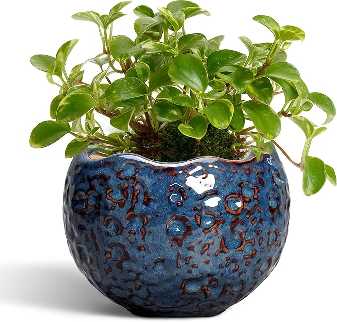 Thirtypot Ceramic Pots for Plants - 4 inch Plant Pots for Indoor Outdoor, Small Planter with Drainage Hole, Unique Flower Pot, Decorative Modern Round Planter, Office Decor, Home Gifts, Retro Blue