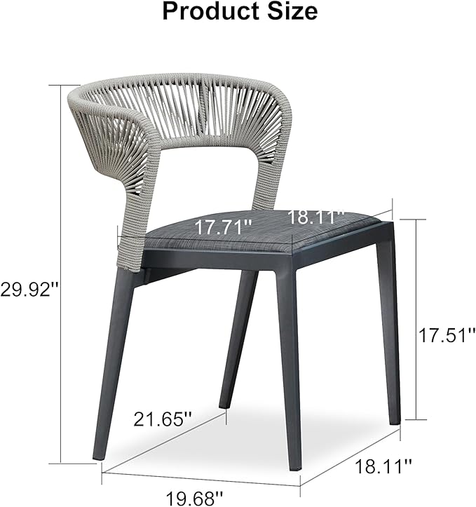 PURPLE LEAF 2 Pieces Outdoor Dining Chair All-Weather Wicker Aluminum Frame Patio Dining Chair for Lawn Garden Backyard Deck with Cushion, Gray