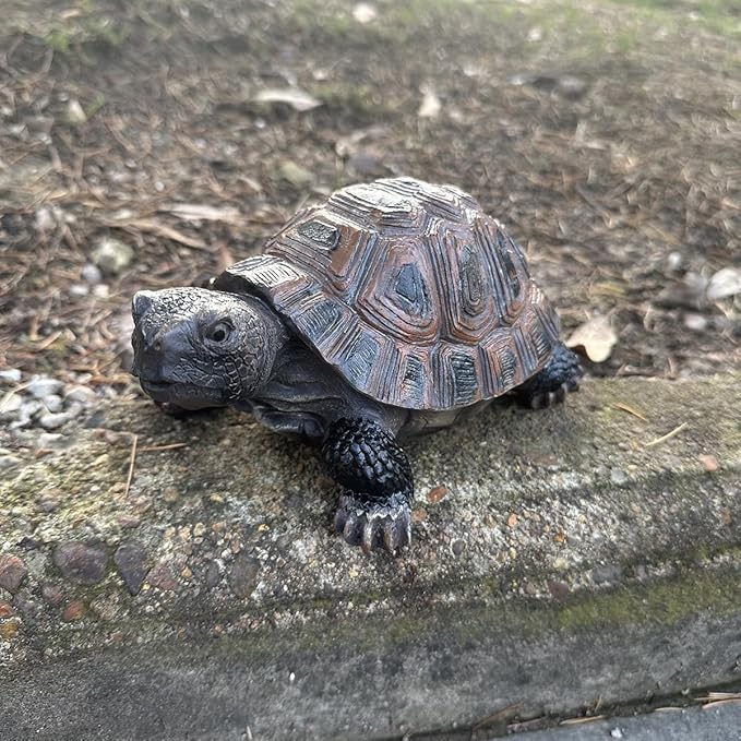 Danmu Polyresin Tortoise Statue - Outdoor Statue, Garden Ornament for Home and Fairy Garden Decor (5.1" x 4.3" x 2.3")