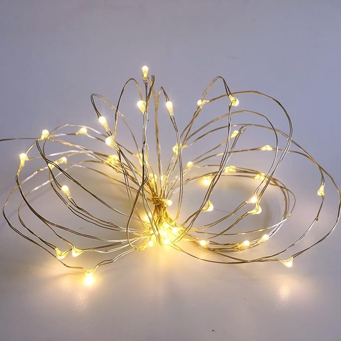 2 Pack Battery Operated Mini Led Lights,Indoor Fairy Lights with Timer 6 Hours on/18 Hours Off for Bedroom Wedding Christmas Party Decorations,30 Count LEDs,10 Feet Silver Wire (Warm White)
