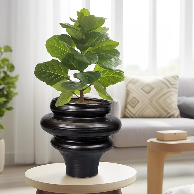 Teagas Ceramic Plant Pots 11 Inch - Bonsai Planters for Indoor Plants Outdoor Plants, Pot for Plant with Drainage Hole, Decorative Flower Pots for Home Decor, Gift for Men Women, Black