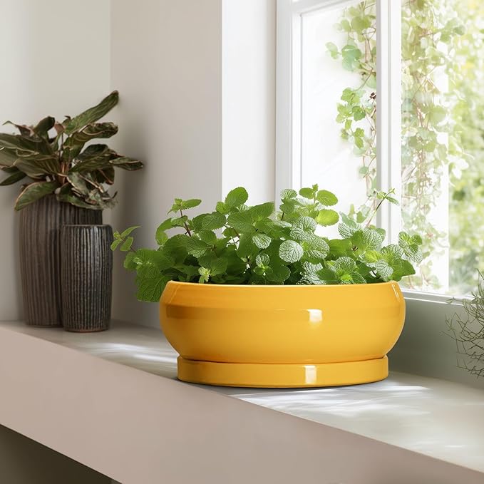 EPFamily Ceramic Bonsai Pots - 13 Inch Large Succulent Pots with Drainage Hole and Saucer, Bonsai Planter for Indoor Outdoor, Round Shallow Bowl Planter, Garden House Decor, Plant Lover Gifts, Yellow