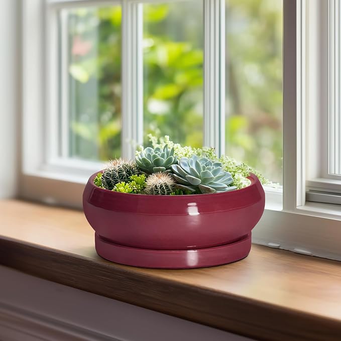 EPFamily Succulent Pots - 8 Inch Bonsai Pots for Indoor Outdoor, Shallow Ceramic Planter with Drainage Hole and Saucer, Round Flower Succulent Planters, Apartment Decor, Gardening Gift, Red