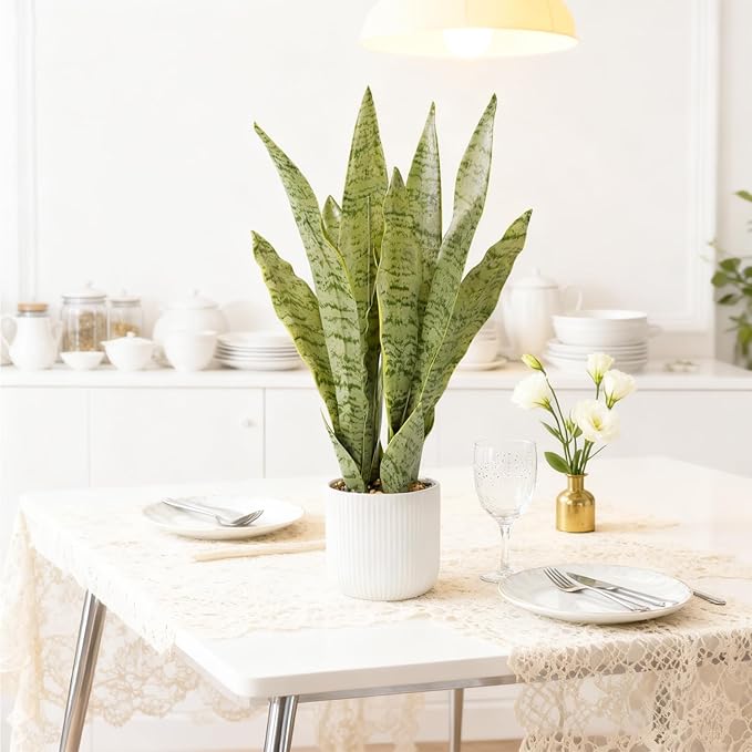 Artificial Realistic Snake Plant 21.5" with White Pot Fake Snake Plants Sansevieria Greenery Faux Snake Plant for Home Office Living Room Housewarming Gifts Indoor Decor-LightGreen