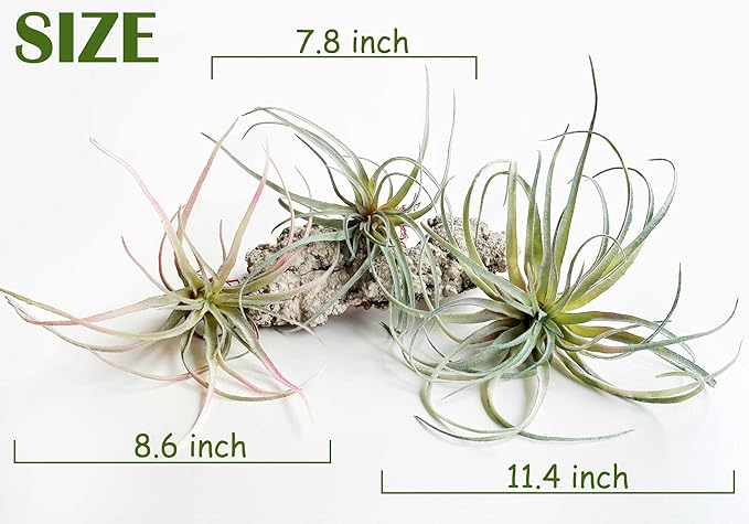 Casktcom® Extra Large Artificial Air Plants – Set of 3 Faux Tillandsia Bromeliads，Fake Succulent Plants – No Care Needed
