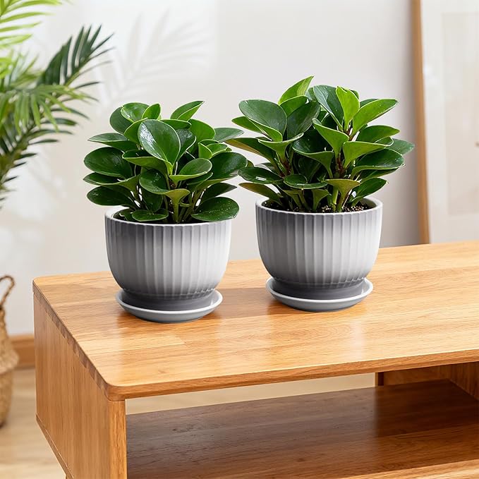 Ceramic Plant Pots,6.7 Inch,Set of 2,Planters with Drainage Hole and Saucer,Flower pots for Indoor Plants,Modern Design(Gray+White)