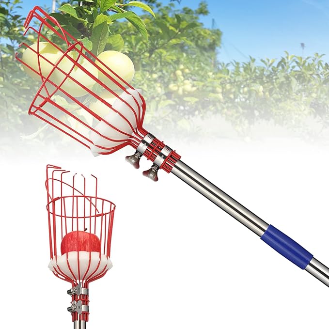 BsBsBest Fruit Picker Pole with Basket, Telescoping Fruit Picker Tool with Long Handle, 35-65 Inch Adjustable Apple Avocado Orange Picker, Stainless Steel Fruits Catcher Tree Picker