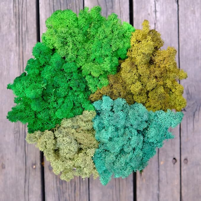 prefleur Preserved Reindeer Moss Natural Green DIY Kit Gardenning Art Wall Decor Florist Decor Easter Table Decor Wedding