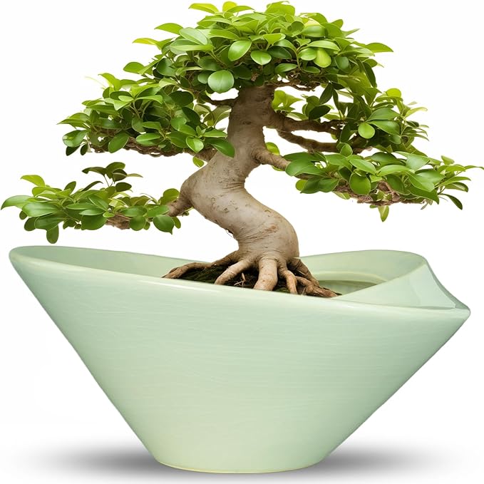 Teagas Ceramic Bonsai Pots - Large Succulent Planter 13 Inch Plant Pot Indoor Succulent Pot with Drainage Hole Outdoor Planter Bonsai Tree Pot for House Home Garden Office Decor Green