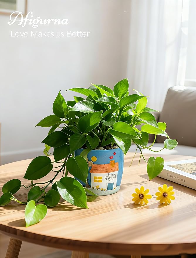 Afigurna New Home Gift Ideas: Home Sweet Home Plant Gift for Plant Lover - 5.3in Hand-Painted 3D Art Planter - Gardening House Warming Gift for New Apartment Christmas