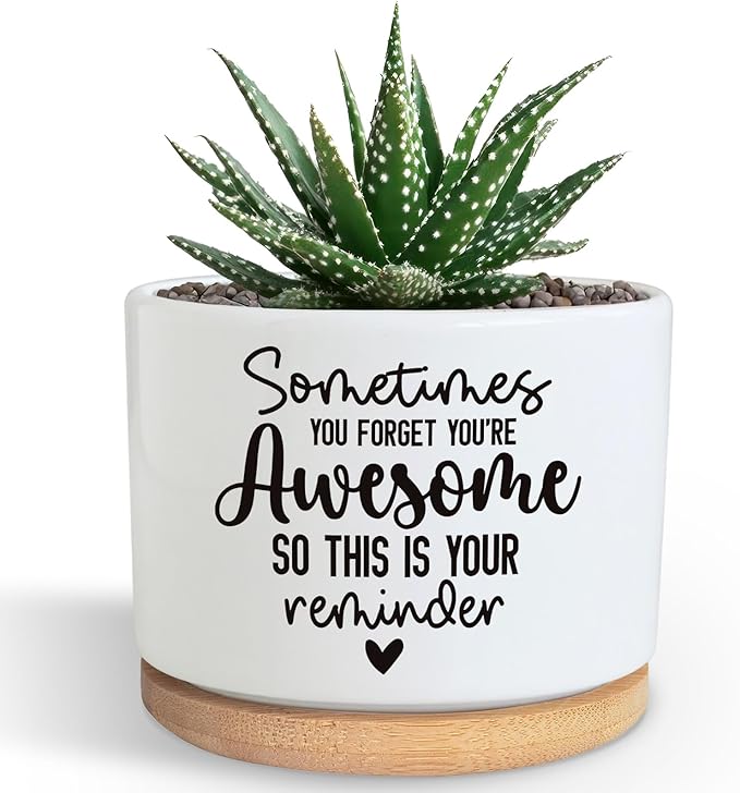 You're Awesome Funny Succulent Plant Pot, Cute 3.5 Inch Small Ceramic Cactus Planter Pot with Drainage, Home Office Desk Decor for Friends Coworker Birthday Christmas Housewarming Gifts (No Plants)