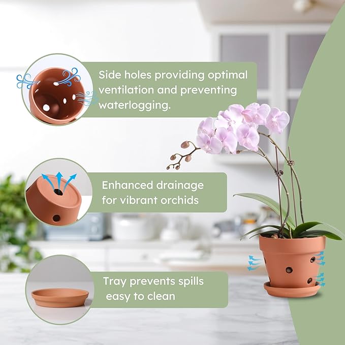 HERDUK Clay Orchid Pots with Holes,Terracotta Orchid Pots with Drainage Holes & Saucer for Repotting 6 Inch, Orchid Planters for Indoor Plants