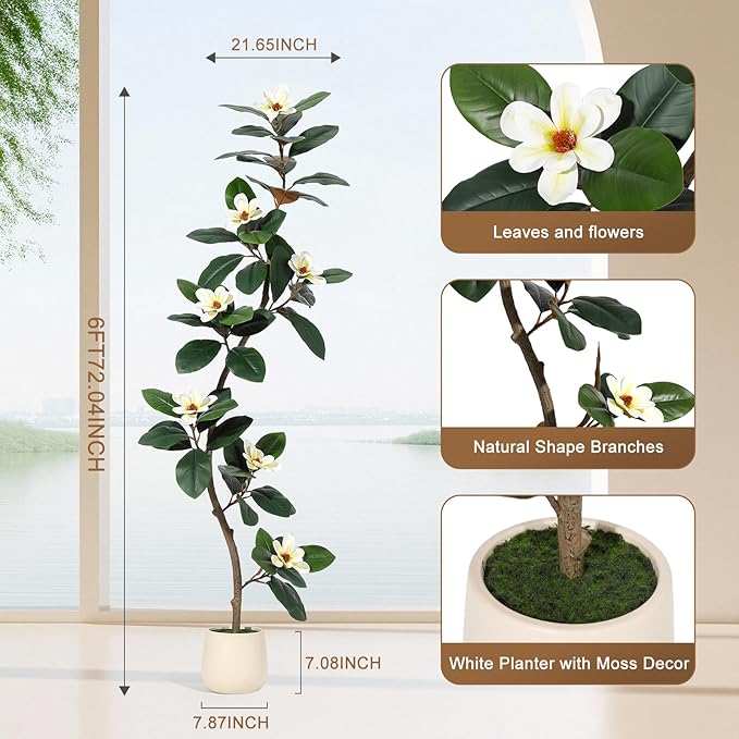 Rubber Tree 6 ft Artificial Tree in White Planter Pot, Faux Plants Indoor Faux Floor Plant Artificial Plants with 7 Pcs Magnolia Flowers for Home Decor, Artificial Fiddle Leaf Fig Tree for Office