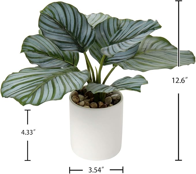 Briful Small Fake Plant 13" Faux Calathea Plants Indoor Artificial Potted Plant in White Ceramic Greenery House Plant for Home Table Office Bathroom Shelf Living Room Desk Decoration