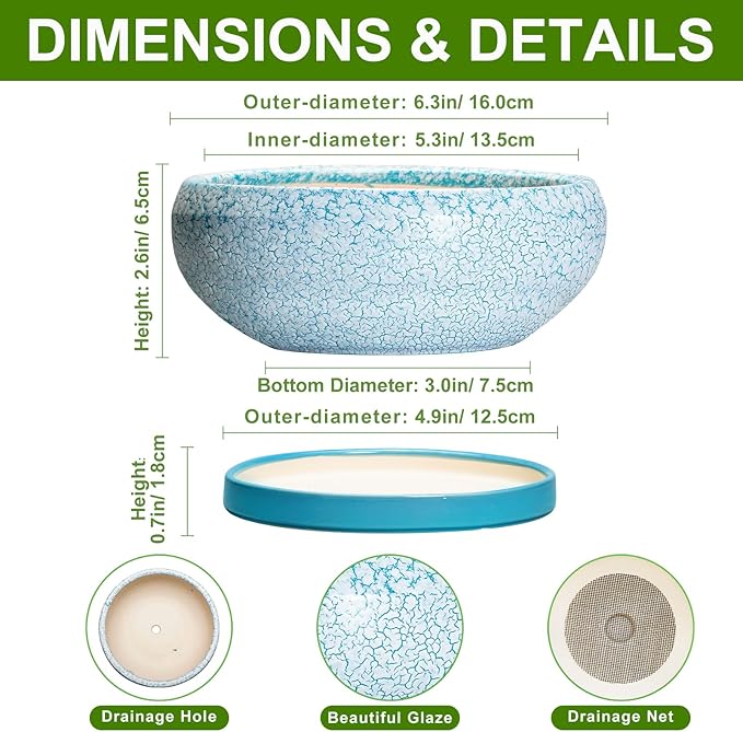 EPFamily Bonsai Pots Small - 6 Inch Succulent Pots with Drainage Hole and Saucer, Succulent Planters for Indoor Outdoor, Shallow Plant Pot, Round Bonsai Planter, Office Decor, Plant Lover Gifts, Blue