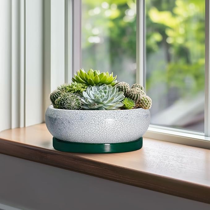 EPFamily Succulent Planters 10 Inch - Ceramic Bonsai Pots with Drainage Hole and Saucer, Large Succulent Pots Indoor, Shallow Planter, Round Bowl Planter Outdoor, Patio Decor, Plant Lover Gift, Green