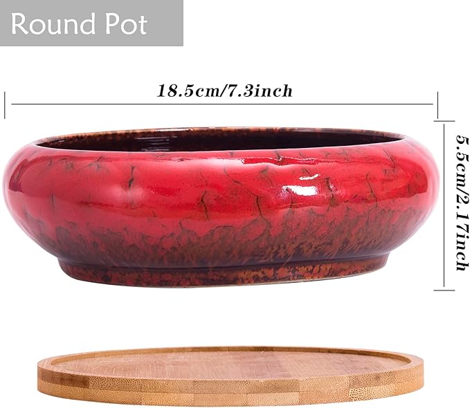 ARTKETTY Succulent Pots, 1 Rectangle Planter + 1 Ceramic Bonsai Pot with Drain Tray, 2 Pack Large Shallow Succulent Planters for Indoor Plants, Round Cactus Flower Plant Pot for Desk Windowsill Decor