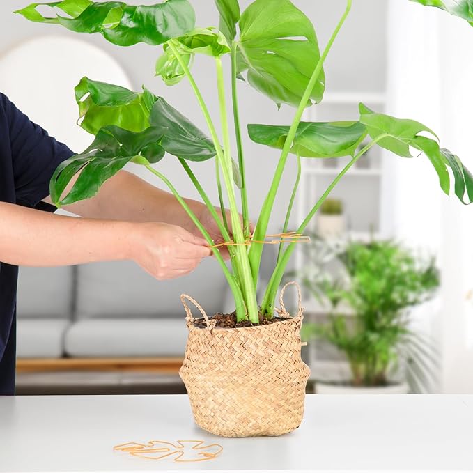 10PCS Iron Monstera Plant Support, Uniquely Designed Indoor Plant Accessories, Stable Plant Support Stakes for Indoor Plant, Turtle Shell Bamboo Clamp Set for Thriving Growth