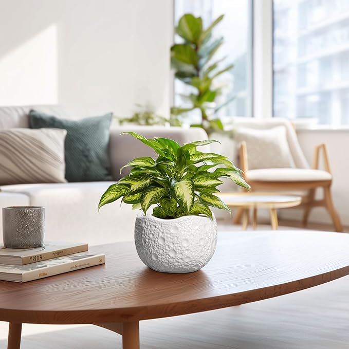 Thirtypot Ceramic Pots for Plants - 6 Inch Plant Pot for Indoor Outdoor, Decorative Orchid Pots with Drainage Hole, Unique Round Modern Planters, Home Decor, Gifts for Plant Lovers, White