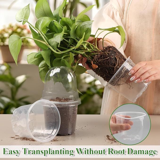 60 Pack Clear Nursery Pots with Humidity Domes, 4 Inch Plastic Plant Pots with Drainage Holes for Seedlings, Transparent Seed Starting Pot for Cuttings Propagation Indoor Gardening