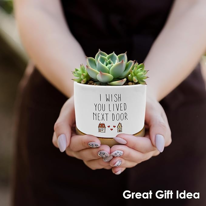ROXMART Friendship Gifts for Women Plant Pots, Birthday Gifts for Best Friend Succulent Planters, I Wish You Lived Next Door Ceramic Plant Flower Pots for Home Office Desk Table Shelf(No Plants)