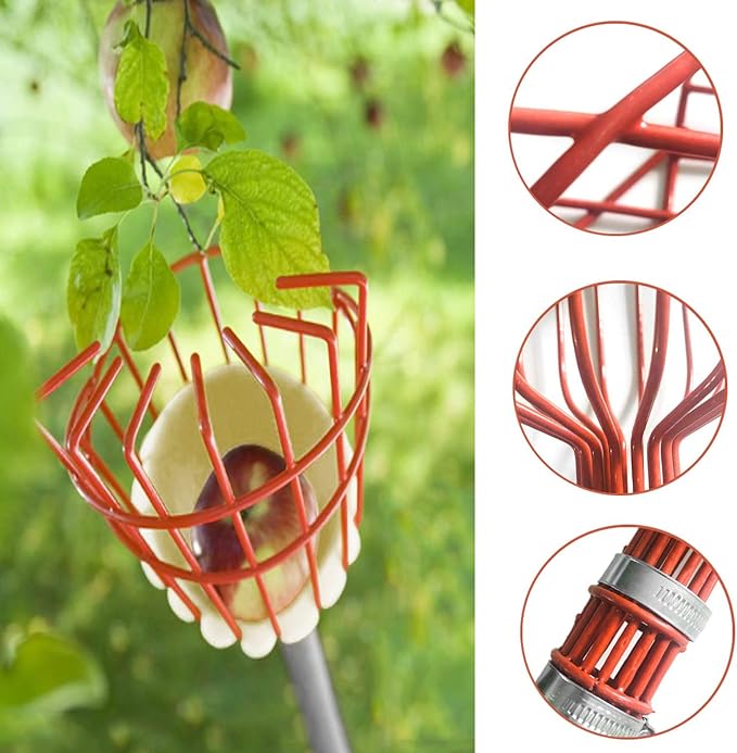 Fruit Picker Tool, Fruit Picker Pole with Basket Height Adjustable - 8FT Mango Lemon Orange Apple Picker - Fruits Catcher Tree Picker for Getting Fruits