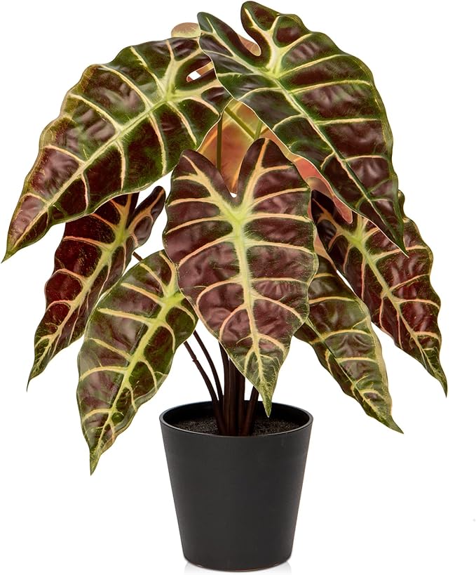 Briful Fake Plant Real Touch Artificial Alocasia Bambino Plant in Black Nursery Pot Faux Alocasia Polly Houseplant for Shelf Tabletop Centerpieces Farmhouse Home Décor, Purple Green
