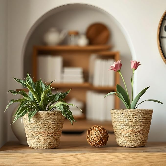 6 Pcs Seagrass Plant Basket with Plastic Liners Woven Stylish Planter Baskets Bulk Indoor Outdoor Plants Woven Wicker Baskets for Flower Pots Cover and Room Decor Small (Small,Rustic)