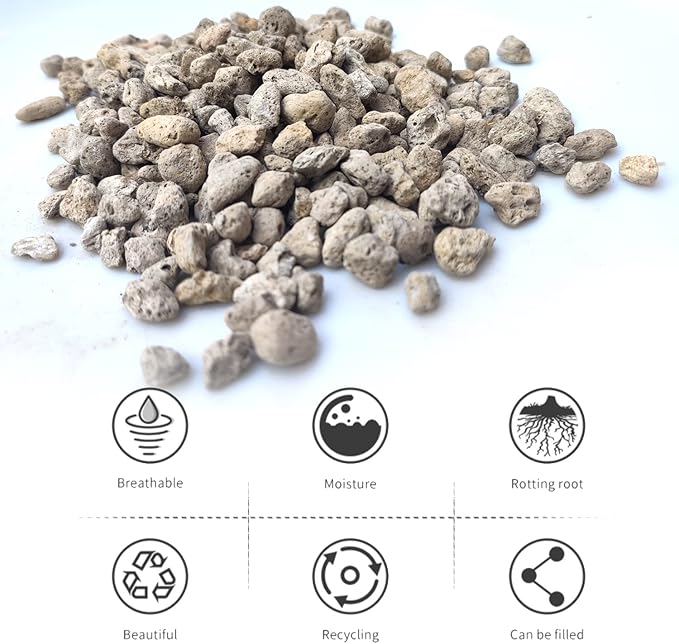 Horticultural Pumice for Plants Professional Sifted (20QT, 1/4 inch)