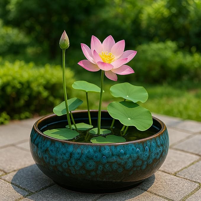 Oncpcare Lotus Bowl Planter – Ceramic Water Plant Pot Sacred Bonsai Bowl Lotus Flower, Shallow Glazed Vase for Lotus Seeds, Bonsai, Succulents, Hydroponic Plants (Blue)