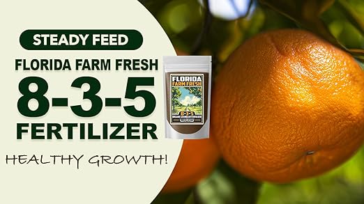 Fertilizer Commercial Grade | Florida Farm Fresh Organic 8-3-5 | 1 Pound | Granular Slow Release Feed | Nitrogen Source | Lawns Vegetables Fruits Beds Borders Shrubs Ornamentals | 7–8 Month Coverage
