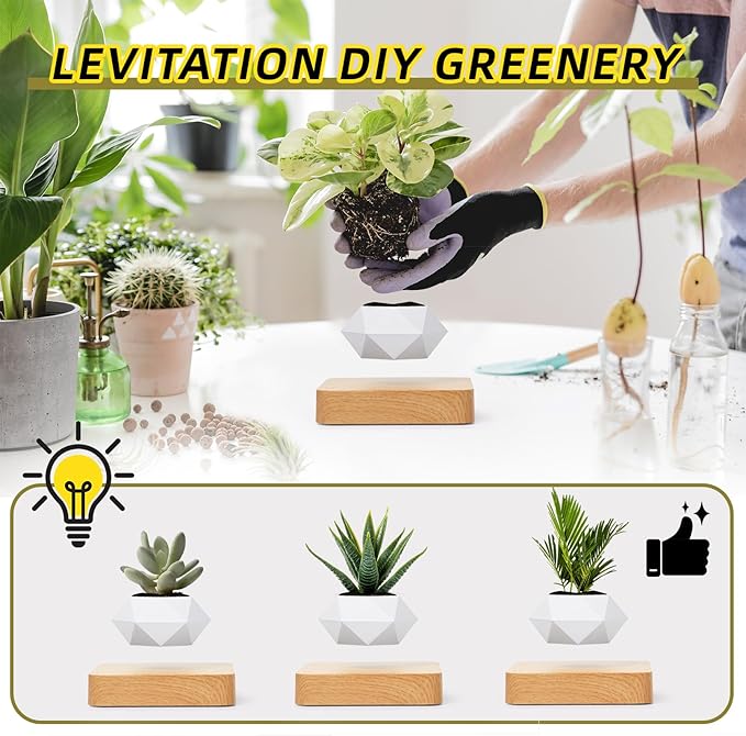 Leekimid Levitating Plant Pot, Magnetic Levitation Flower Pot Suspension Floating Plant Succulents, Air Bonsai Potted Plant for Home Decoration, Living Room, Office, Desk (White)