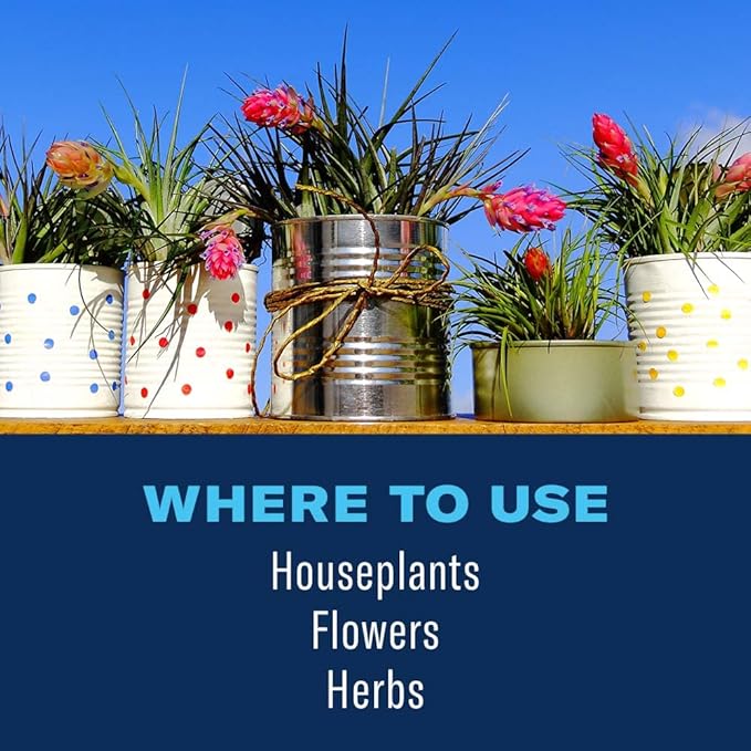 BioAdvanced Houseplant Insect & Mite Control, Ready-to-Use Fungul Disease & Fungus Gnats Killer, 24 oz